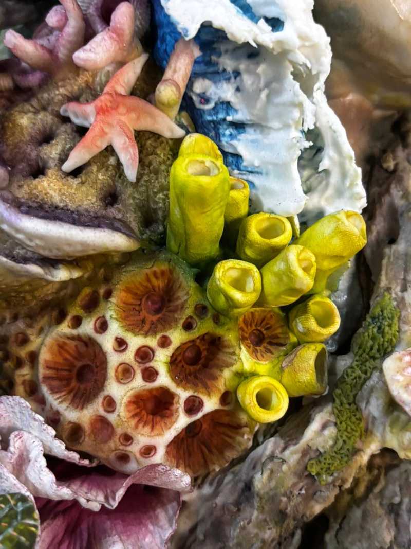 Culinary art food expo - SRI LANKA - expo8