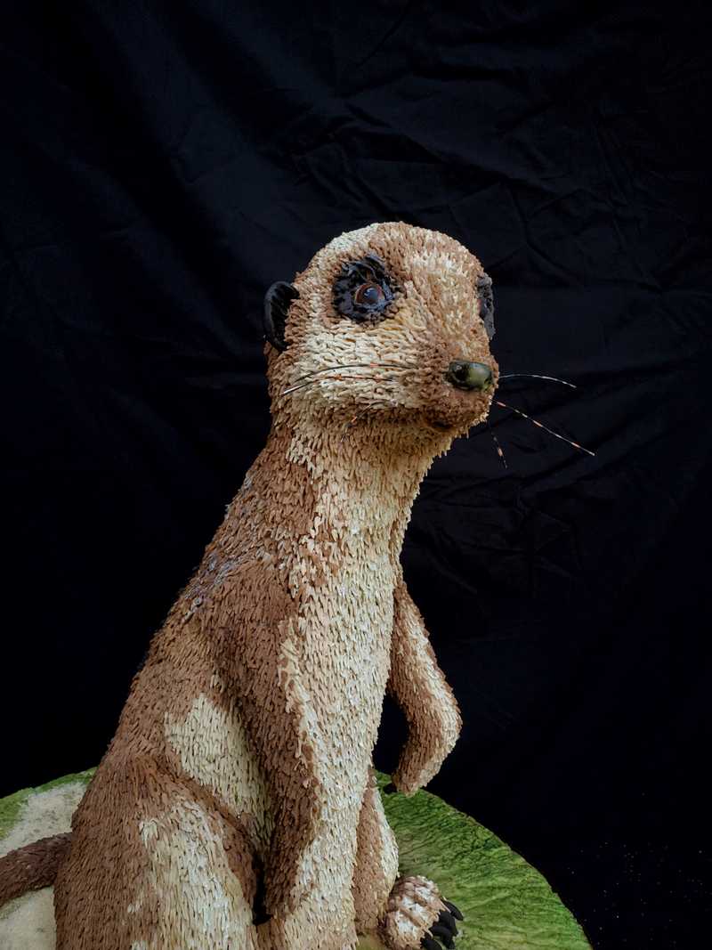 MALMEE CAKE SHOW - malmee8